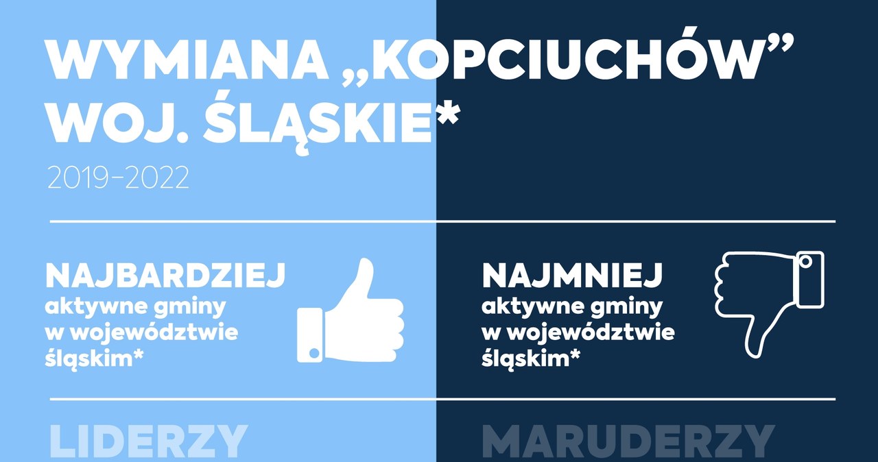 Śląskie liderem w wymianie kopciuchów