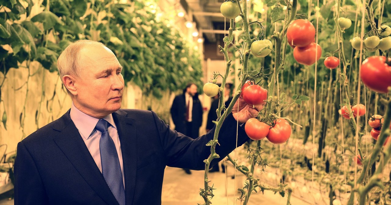 Na marcowym szczycie UE o zakazie importu żywności z Rosji?