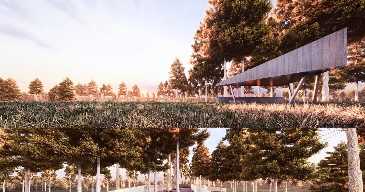 ​Nowe atrakcje planuje Roztoczański Park Narodowy