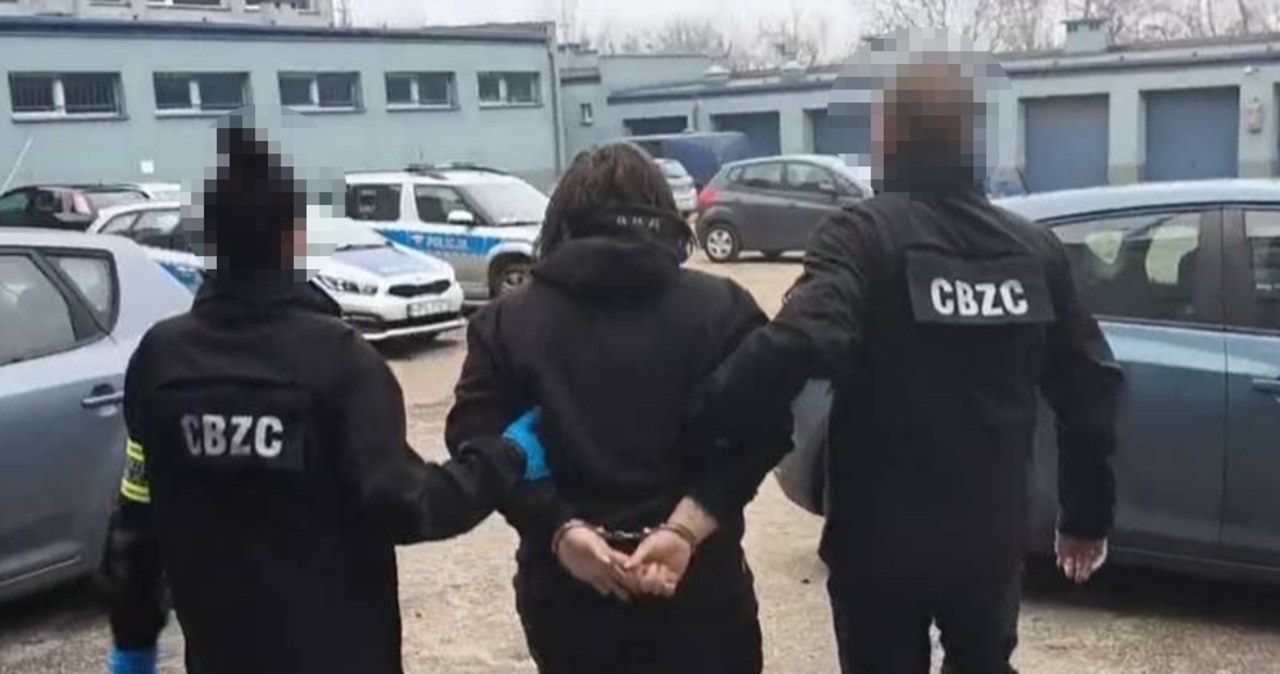 Podszywali się pod funkcjonariuszy. Wyłudzili miliony