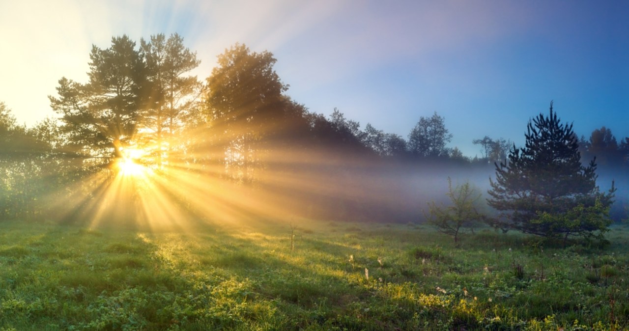 Deszczowo i pochmurno, w weekend cieplej. Prognoza pogody na nowy tydzień