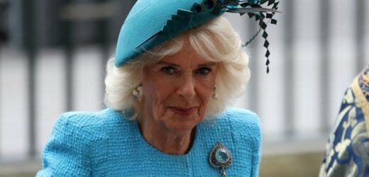 Królowa Camilla pełni obowiązki z księciem Williamem. Widać, że jest zmęczona?