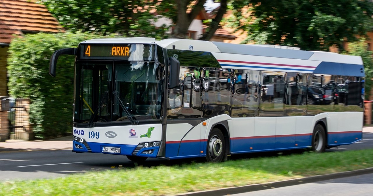 Rada miasta Kołobrzeg podjęła decyzję. Darmowa komunikacja miejska już w czerwcu
