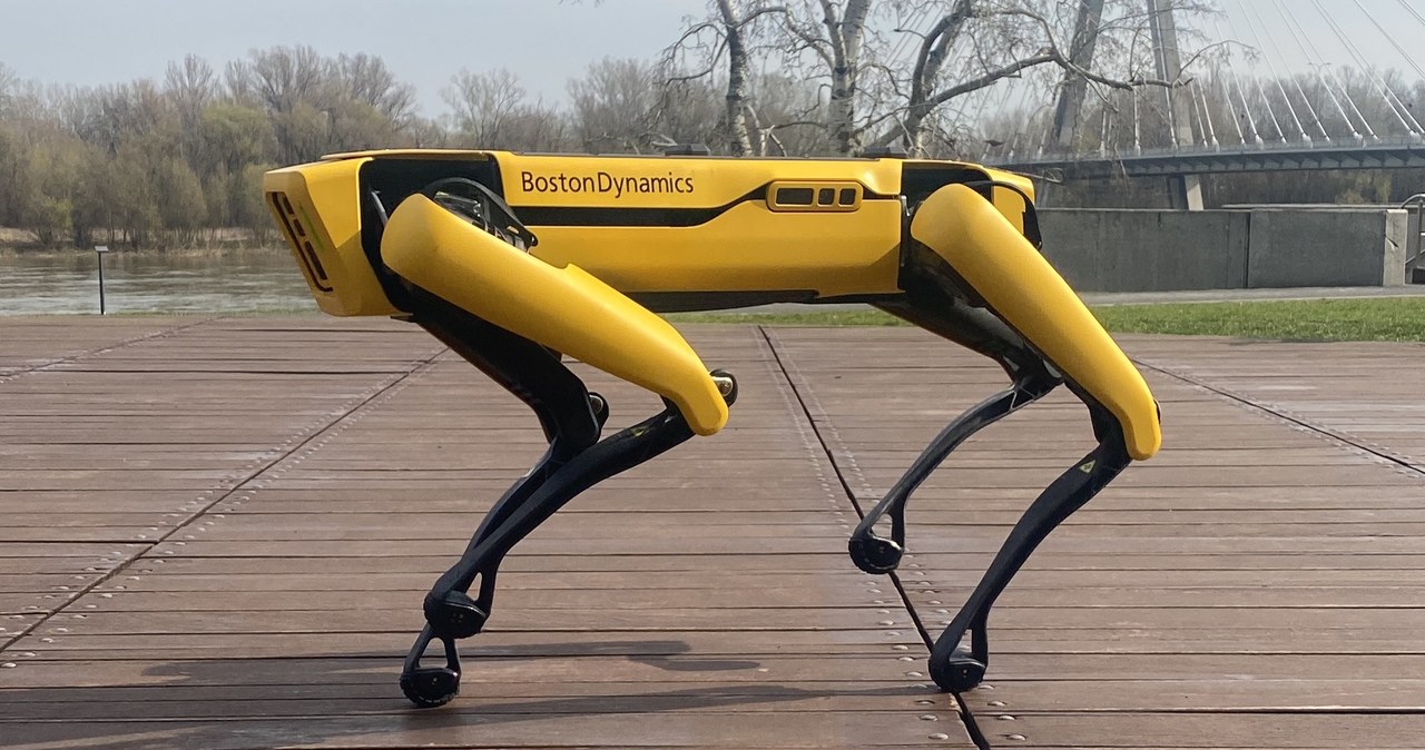 Nowość w Centrum Nauki Kopernik. Poznajcie Spota – psa robota