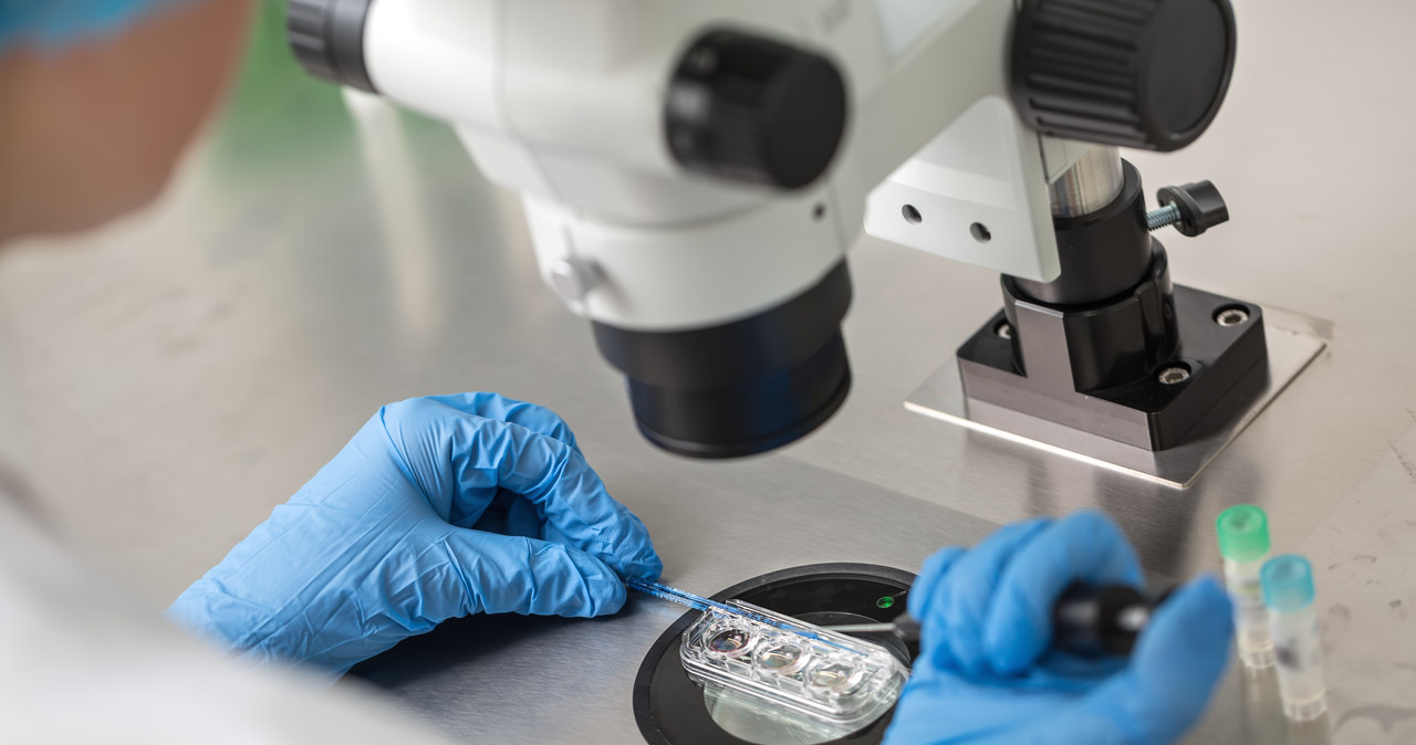In vitro w Rzeszowie. Nadal można zgłosić się do miejskiego programu