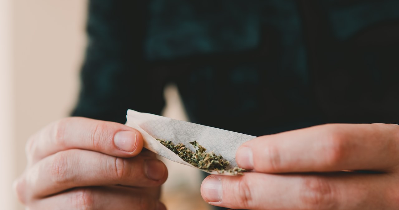 Legalna marihuana w Niemczech