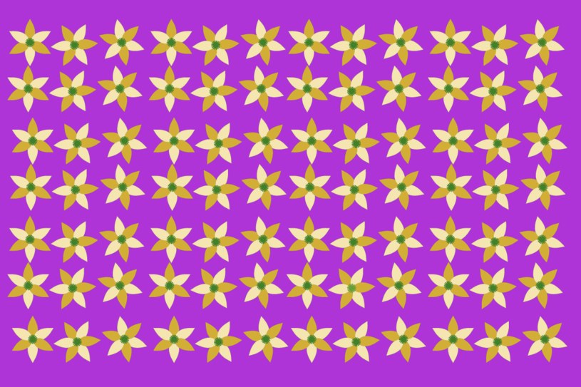 Zaawansowany test na spostrzegawczość. Tylko osoba o doskonałym wzroku znajdzie różnicę