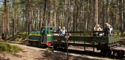 Wiosenna propozycja weekendowa: Przejażdżka kolejką wąskotorową po Półwyspie Helskim