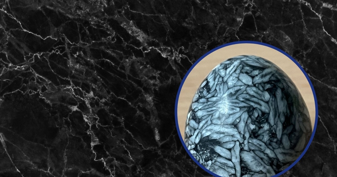 „Kamienne pisanki” w Białymstoku. Nowa wystawa na uniwersytecie