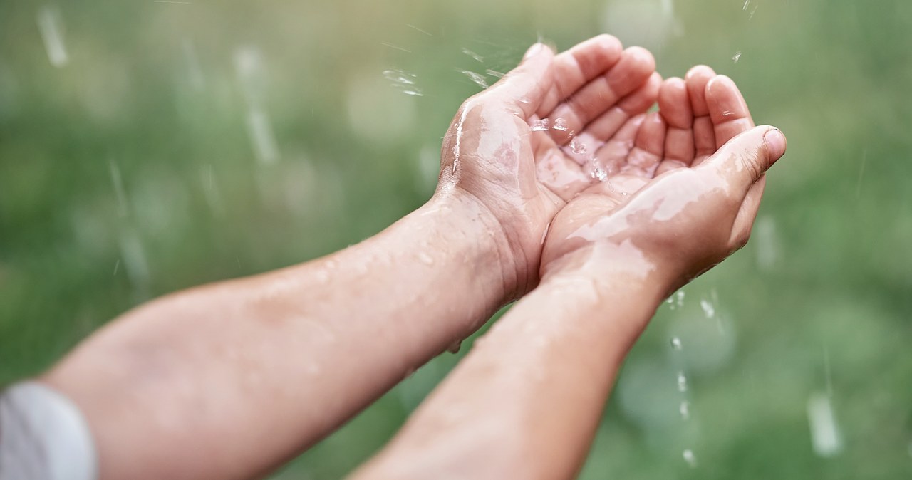 „Złap deszcz” i zaoszczędź pieniądze. Kolejna edycja wrocławskiego programu