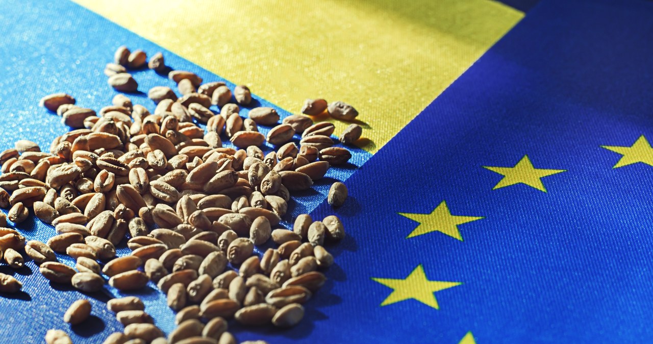 Francuski minister: Jest mniejszość blokująca. Możemy domagać się zmian w umowie z Ukrainą