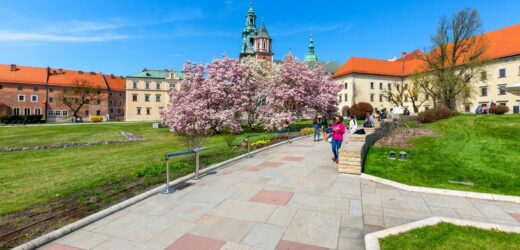 W dwóch regionach termometry wskażą 25 stopni. „Ekstremalnie ciepły marzec”