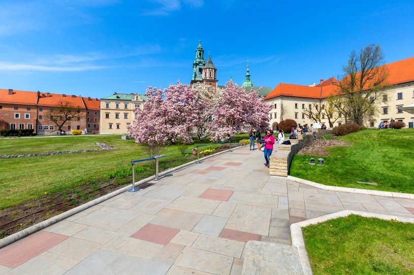 W dwóch regionach termometry wskażą 25 stopni. „Ekstremalnie ciepły marzec”