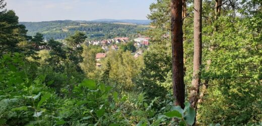 Kolejna perełka turystyczna na mapie Małopolski. Zapowiada się absolutny hit