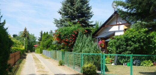 Czego nie wolno robić na działkach ROD? Osoby łamiące przepisy mogą stracić ogródek