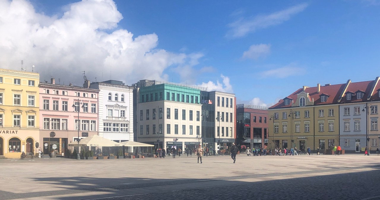 „Zatrzymamy 30 milionów wody z deszczu rocznie”. Oto polskie miasto-gąbka