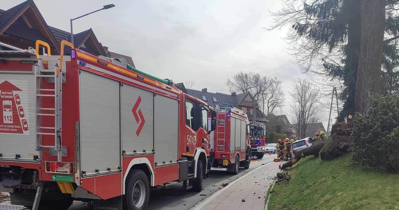 Drzewo spadło na samochód w Zakopanem. Nie żyje kobieta