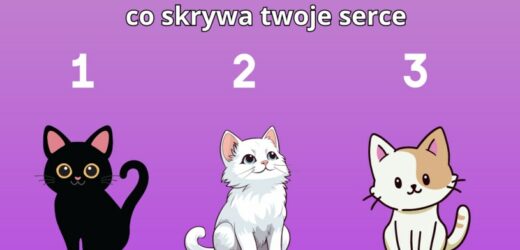 Psychotest: Wybierz kota i dowiedz się, co skrywa twoje serce. Odpowiedź może zaskoczyć