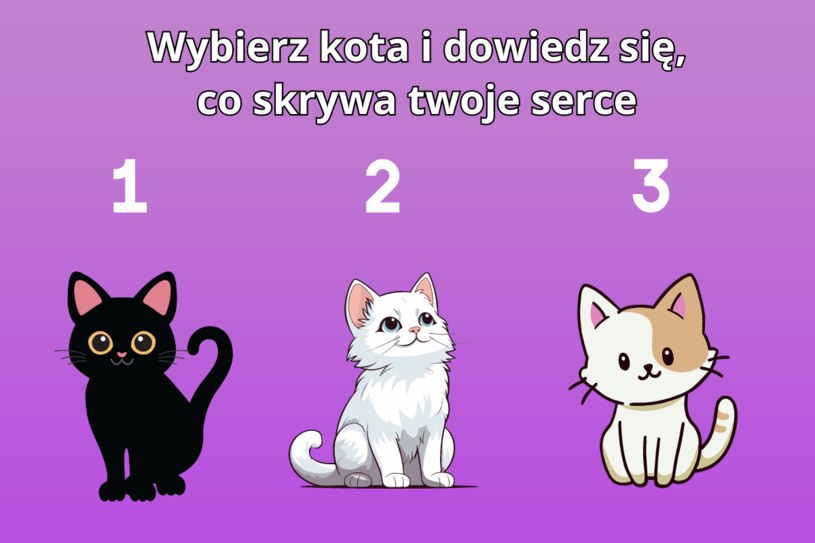 Psychotest: Wybierz kota i dowiedz się, co skrywa twoje serce. Odpowiedź może zaskoczyć