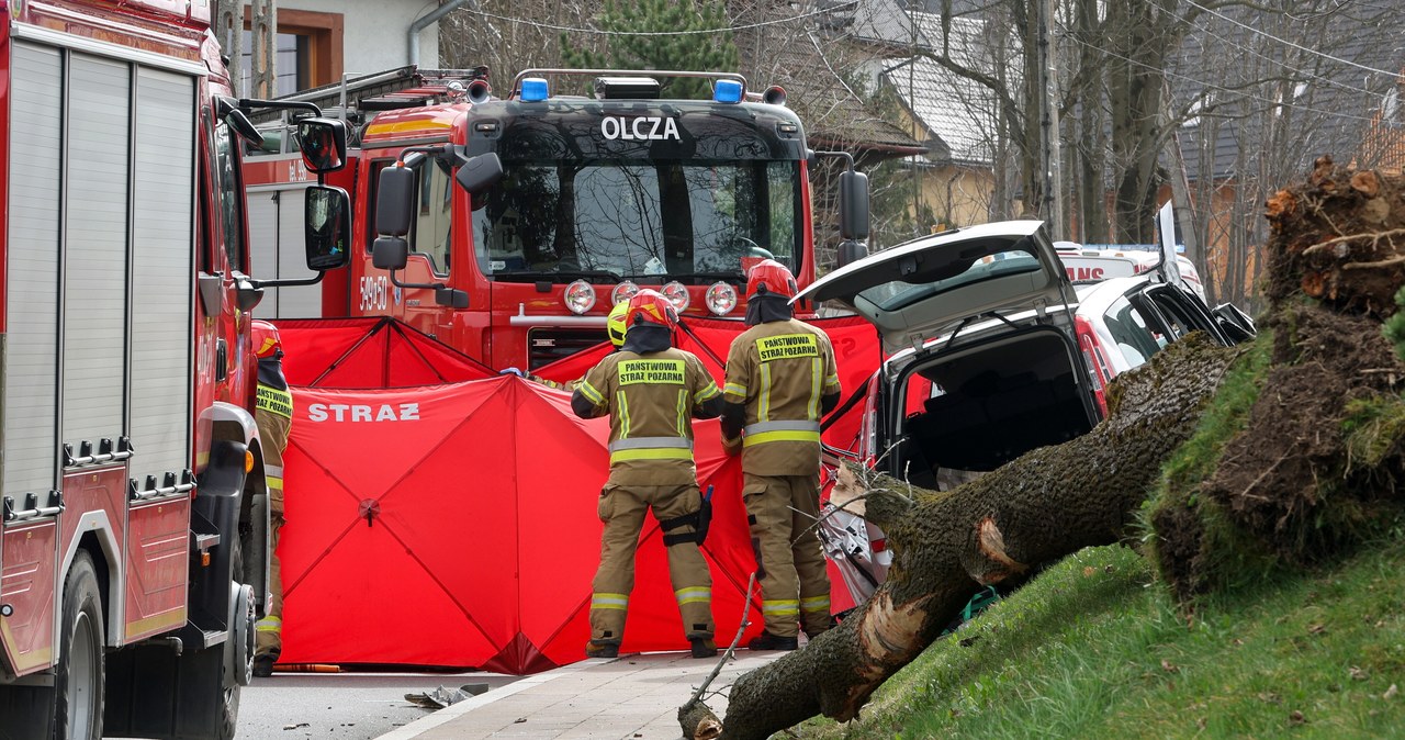 Spóźniona reakcja RCB dot. wichury na Podhalu. Zawiodły procedury