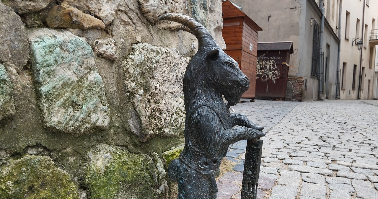 Jest problem z zamówieniem nowych figurek koziołków