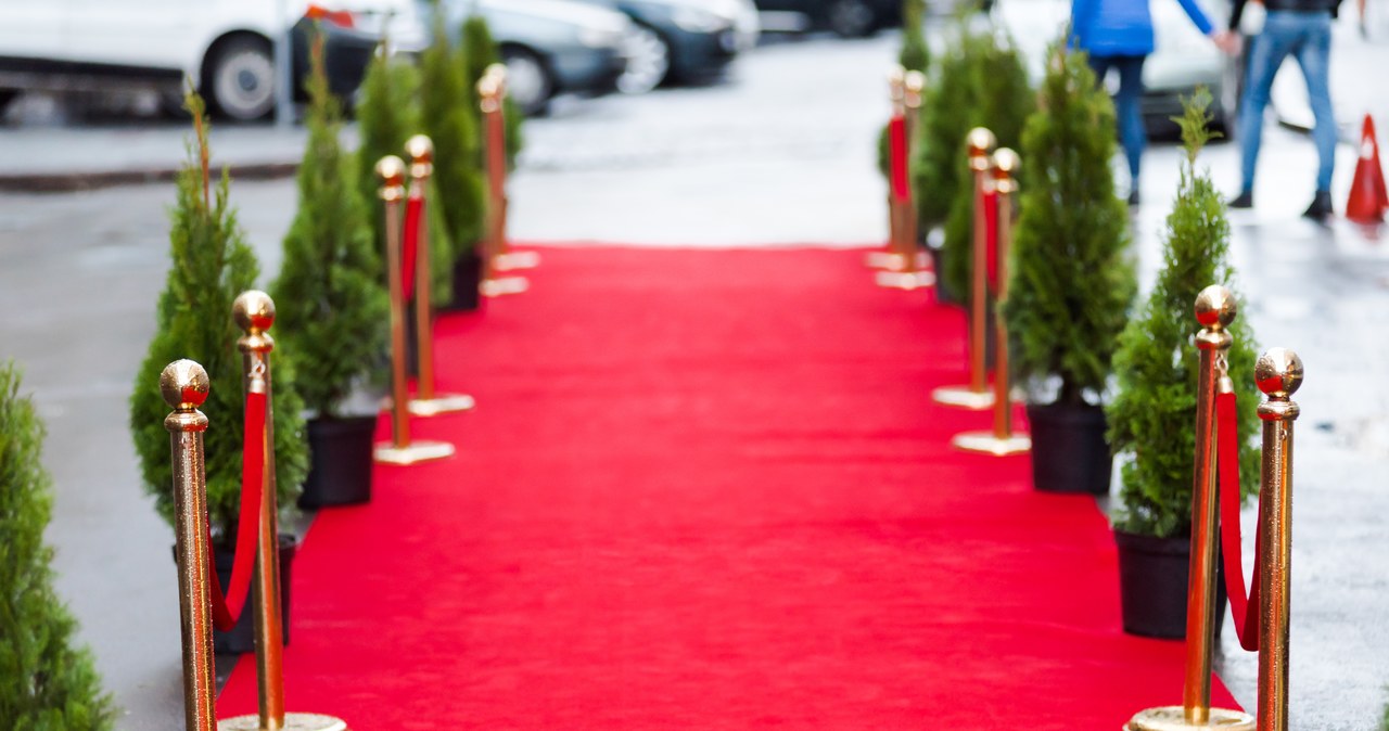 Złota Palma w Cannes: 19 filmów w stawce