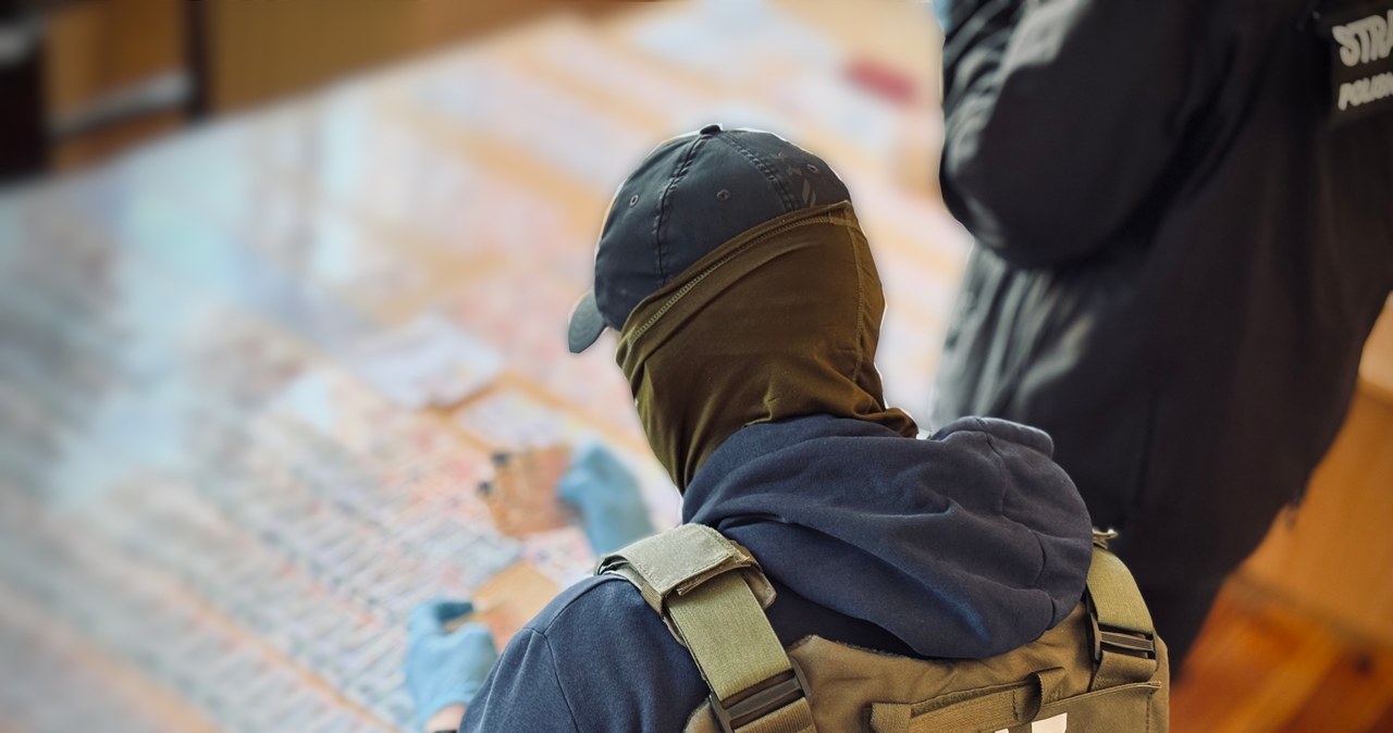 Fabryka lewych dokumentów w Gdańsku. Nawet 11 tys. euro za pakiet