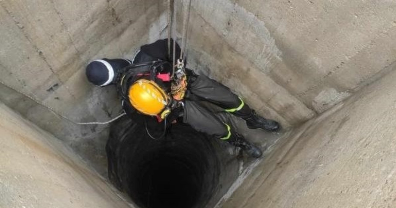 Spadła 30 metrów w głąb studni. Strażacy uratowali kozę