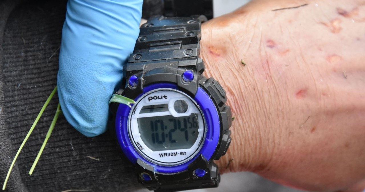 Policja prosi o pomoc w identyfikacji zwłok kobiety