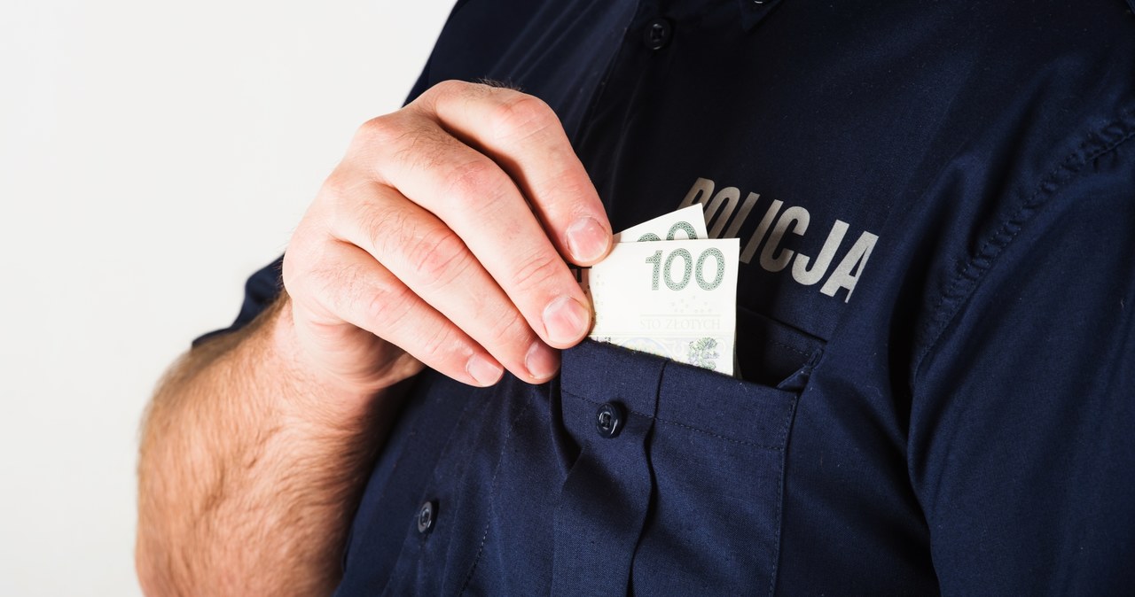 Wzrosła liczba policjantów z zarzutami. Są wyniki raportu