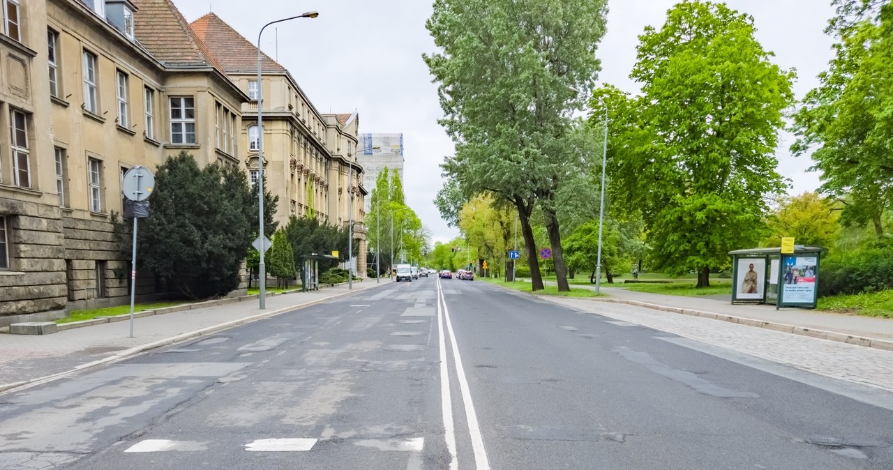 Zaczyna się remont al. Niepodległości w Poznaniu. Spore utrudnienia w ruchu