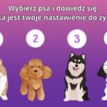 Test osobowości: Wybierz jednego psa z obrazka i poznaj prawdę o sobie