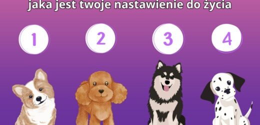 Test osobowości: Wybierz jednego psa z obrazka i poznaj prawdę o sobie
