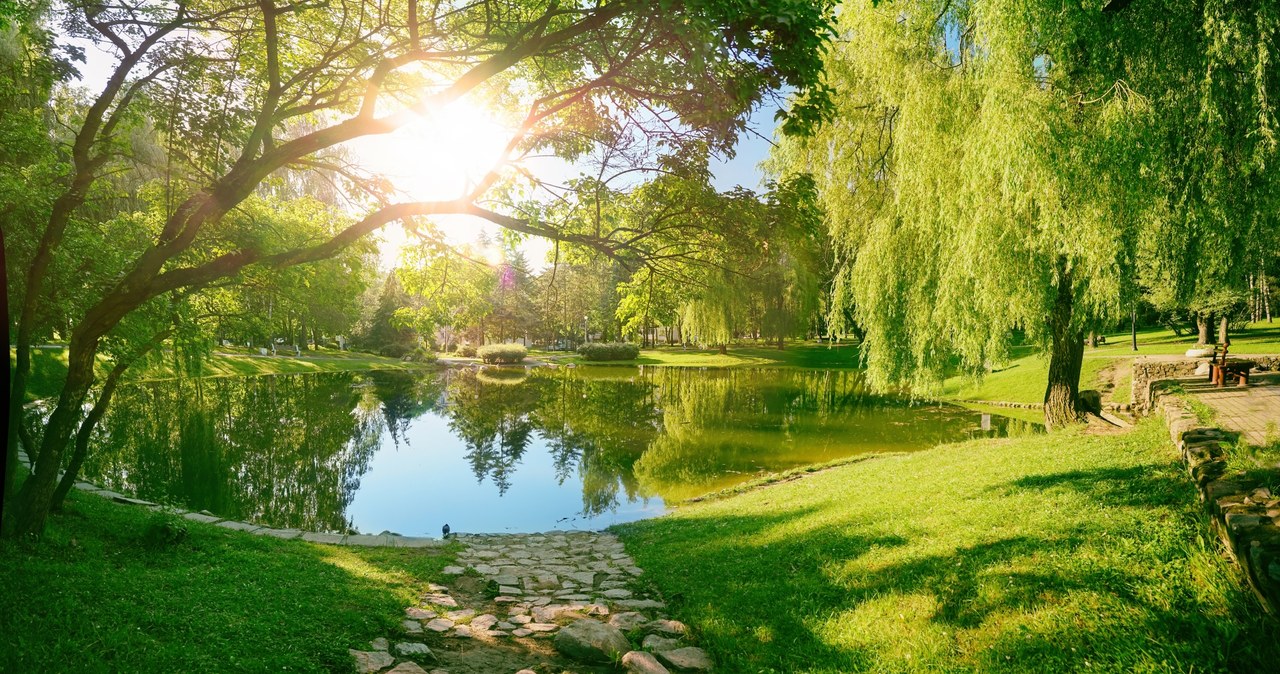 Prognoza pogody: Nawet 26 stopni! Słoneczna i ciepła wiosna powraca