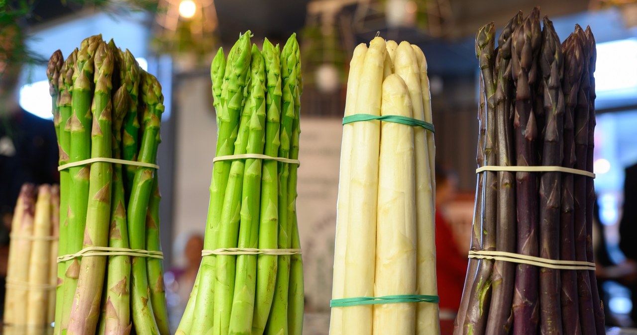 ​Trudny początek sezonu szparagowego w Polsce. Winna pogoda
