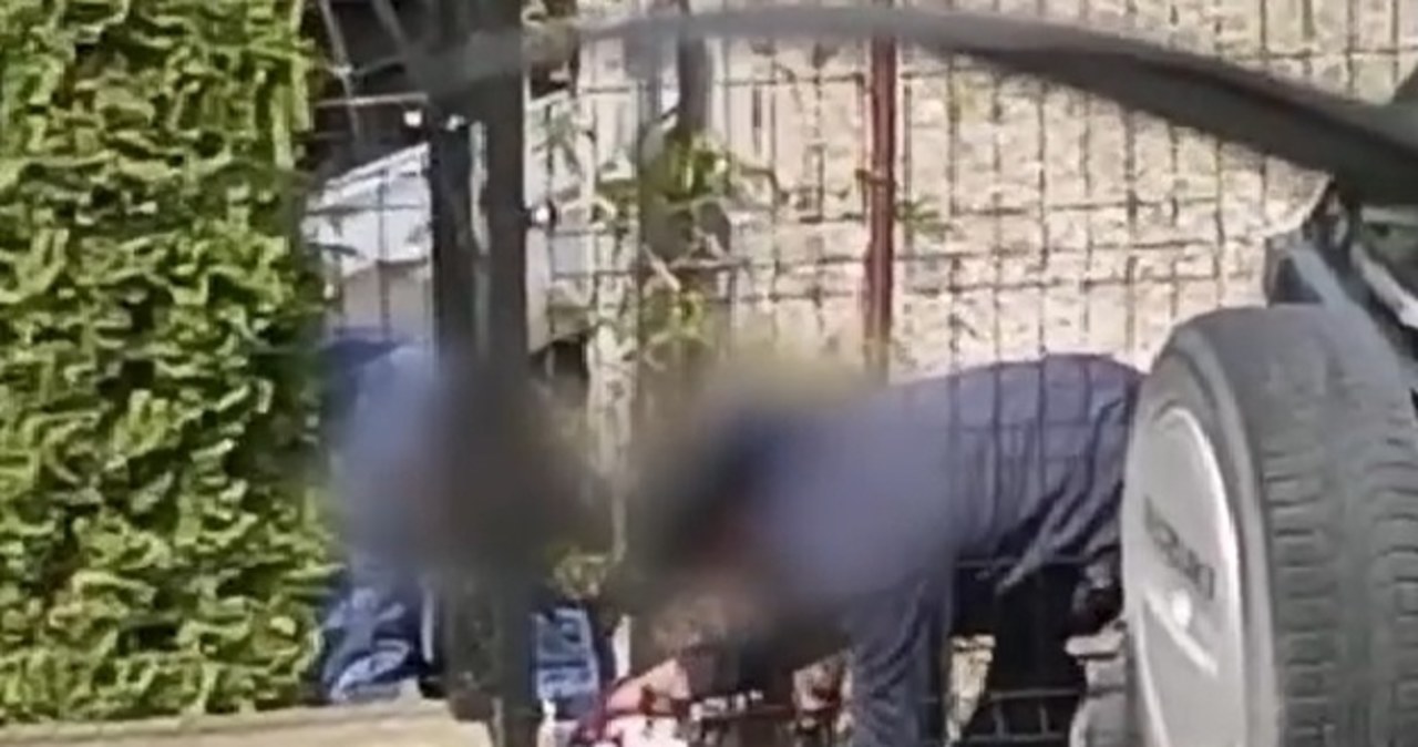 Chcieli ukraść 126 czekoladowych jajek z niespodzianką