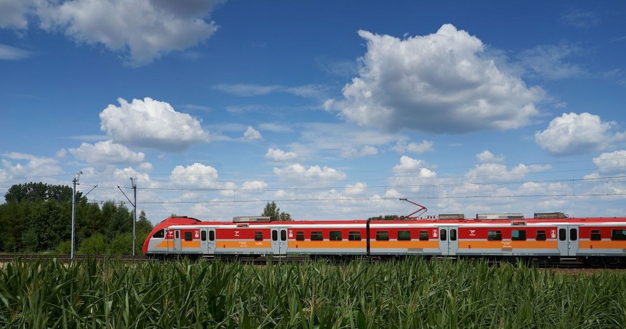 ​Polregio chce wozić pasażerów na Podlasiu do 2030 roku