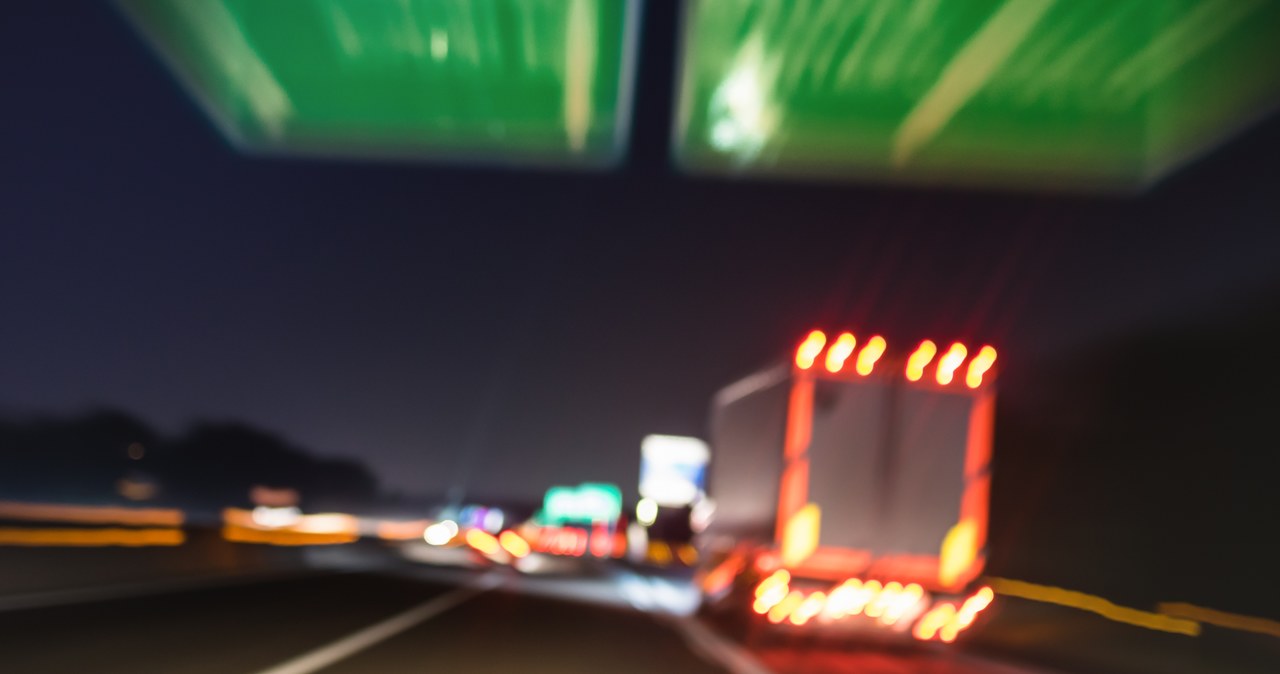 Na autostradzie A2 samochód zderzył się z łosiem. Pięć osób w szpitalu
