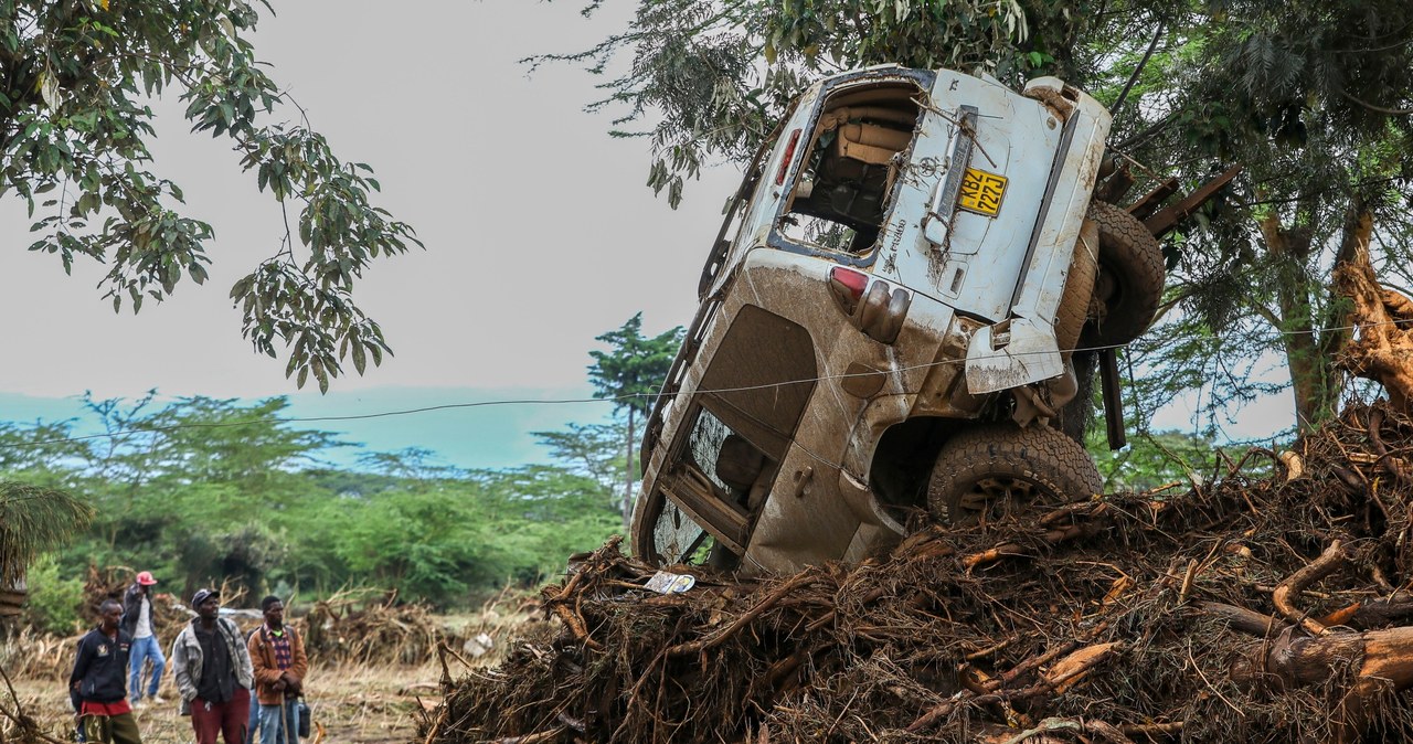 Turyści czekali na pomoc na drzewach. Śmiercionośne powodzie w Kenii