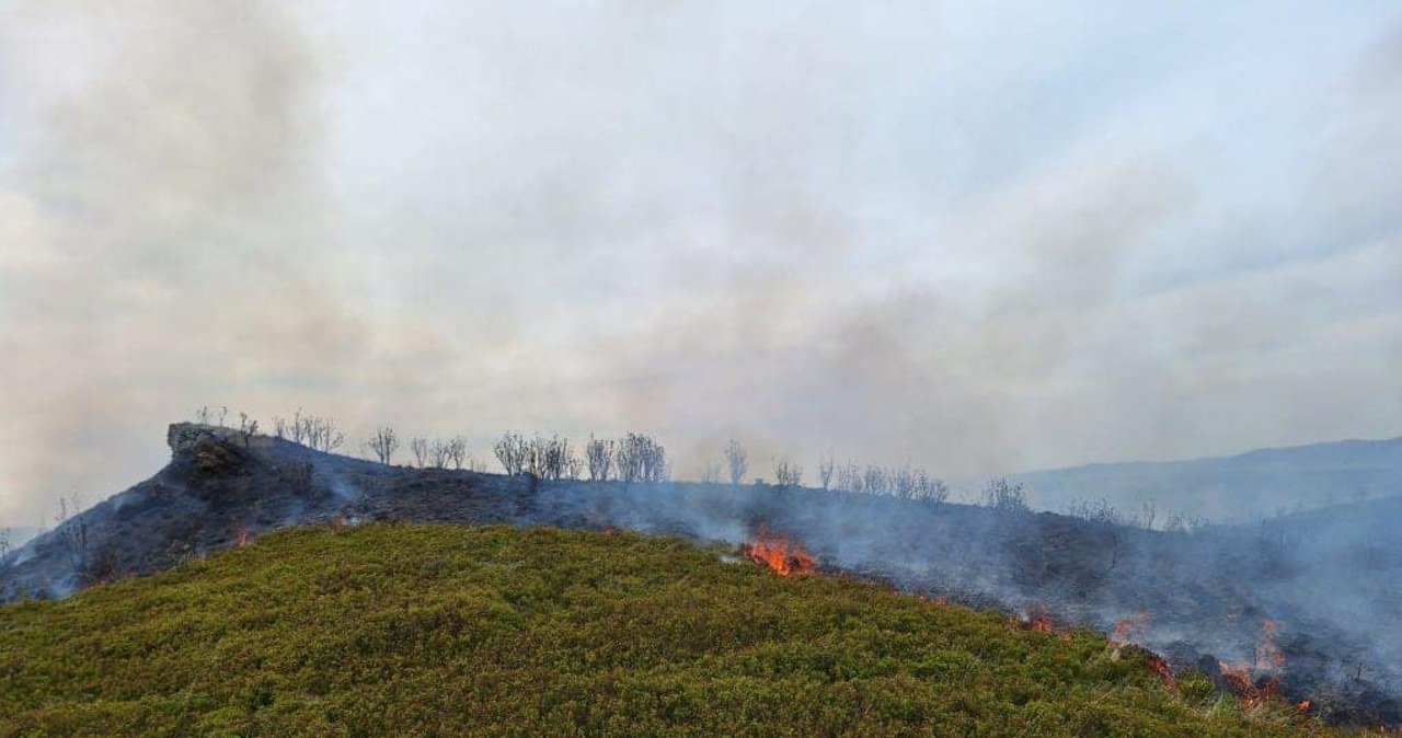 Pożar traw na terenie Bieszczadzkiego Parku Narodowego