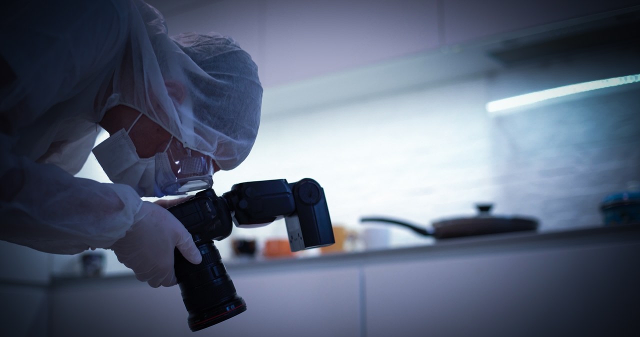 Ciała czterech noworodków w zamrażarce. Zaskakujący finał śledztwa