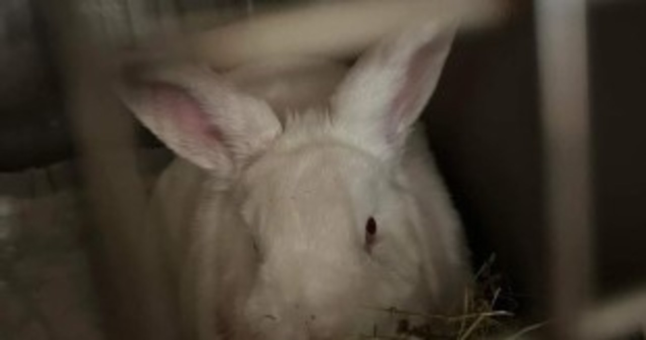 Bez jedzenia, wody i światła. Pomogła interwencja służb