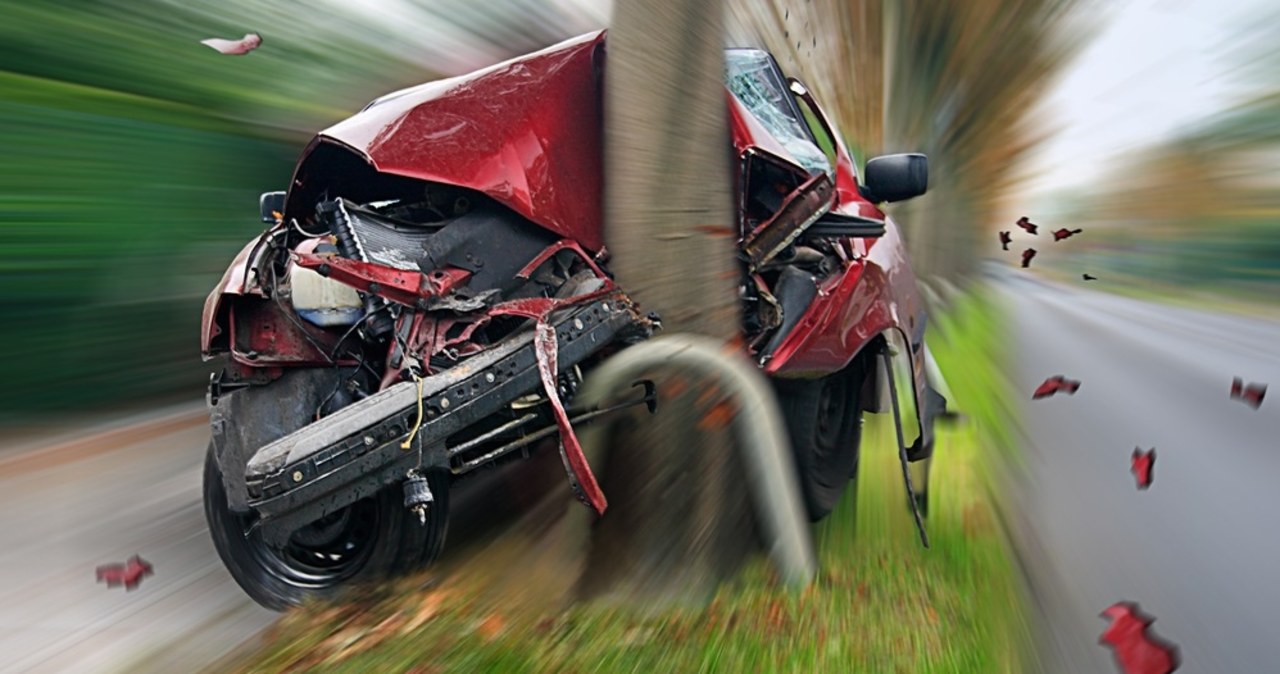 Śmierć trzech osób w Wilanowie. Bmw spłonęło po uderzeniu w drzewo