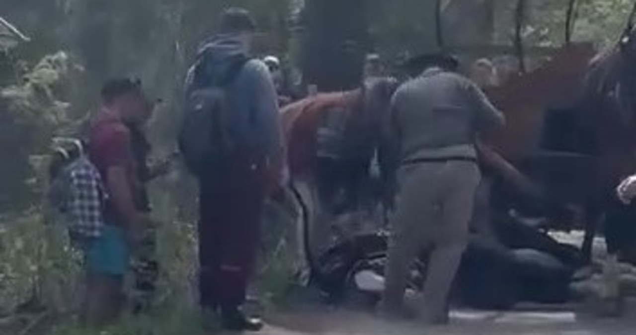 Koń upadł na drodze do Morskiego Oka. Jest reakcja policji