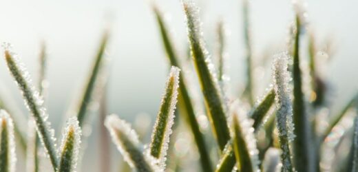 Arktyczne powietrze przyniesie przymrozki. Wiosna zapomniała o Polsce?