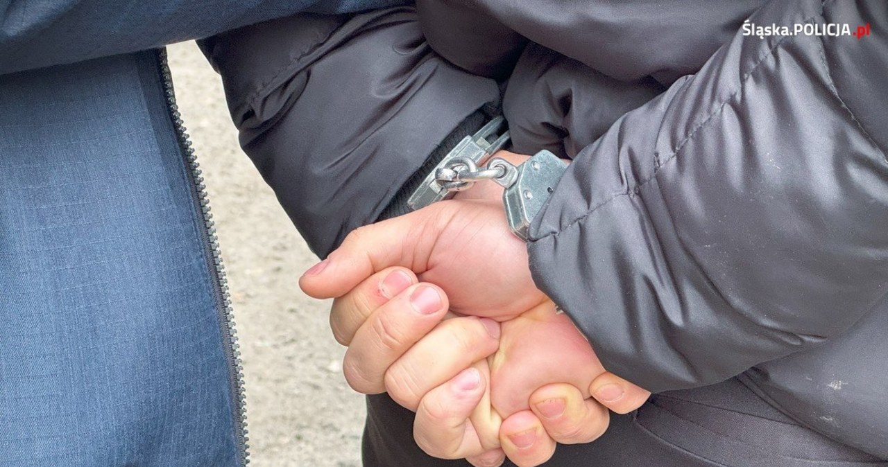 Narkotyki o wartości 60 mln. Kolejni członkowie gangu w rękach policji