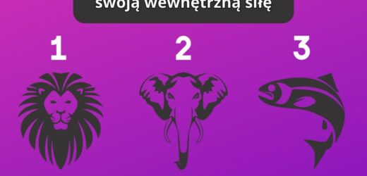 Psychotest: Wybierz zwierzę i dowiedz się, z czego czerpiesz energię