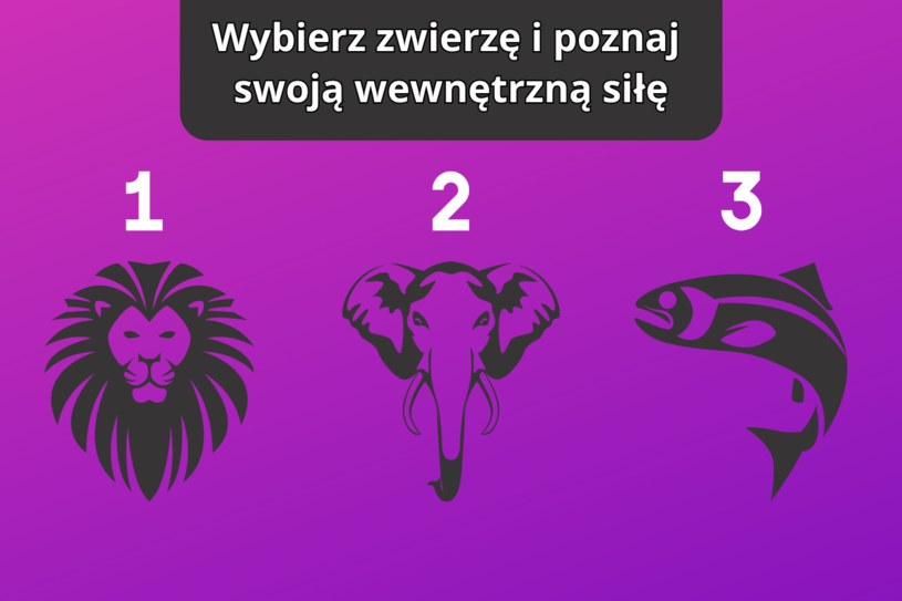 Psychotest: Wybierz zwierzę i dowiedz się, z czego czerpiesz energię
