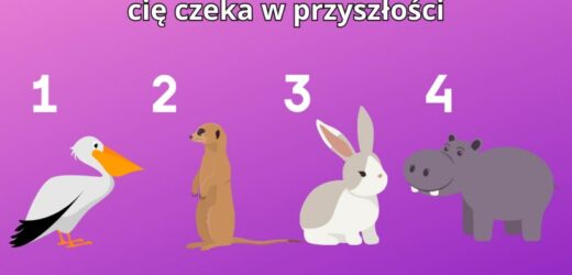 Psychotest: Wybierz zwierzę i dowiedz się, co cię czeka w niedalekiej przyszłości