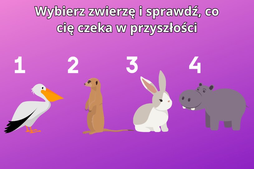 Psychotest: Wybierz zwierzę i dowiedz się, co cię czeka w niedalekiej przyszłości